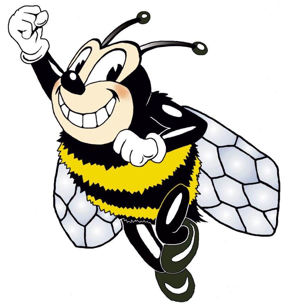 Building Peace Through Literacy