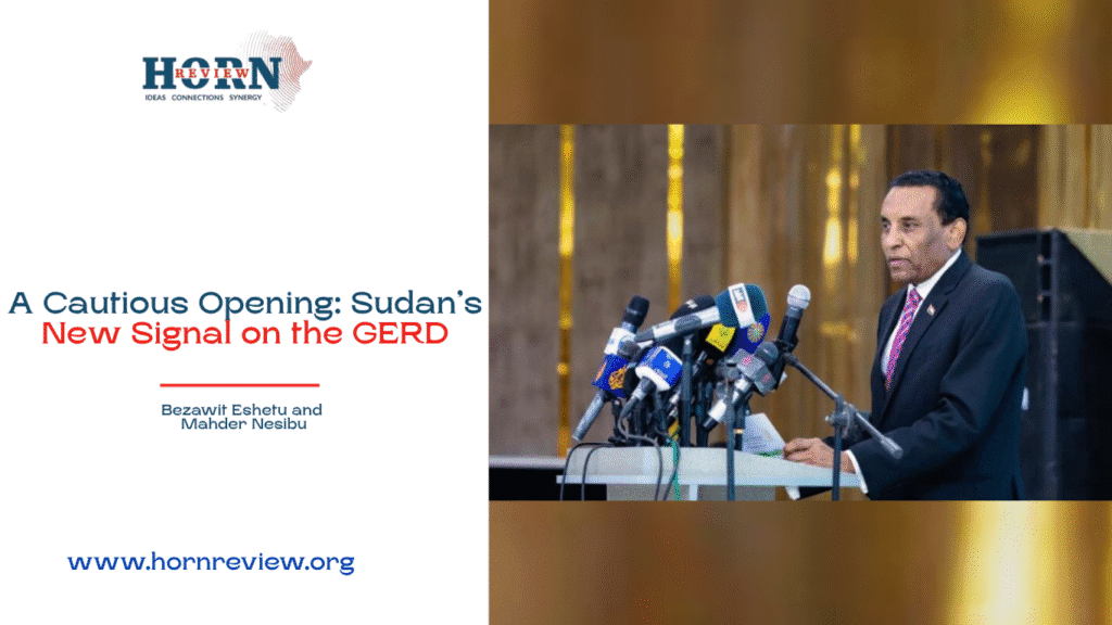Sudan's Perspective on the GERD: Insights from the Horn Review