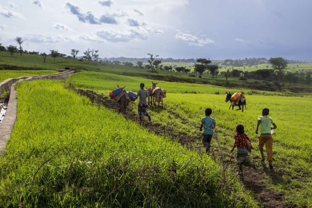 Case safewater irrigation ethiopia hero master