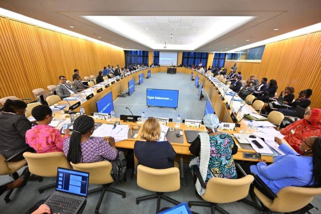 Ethiopia Takes the Lead in UN-ECA Social Policy Committee