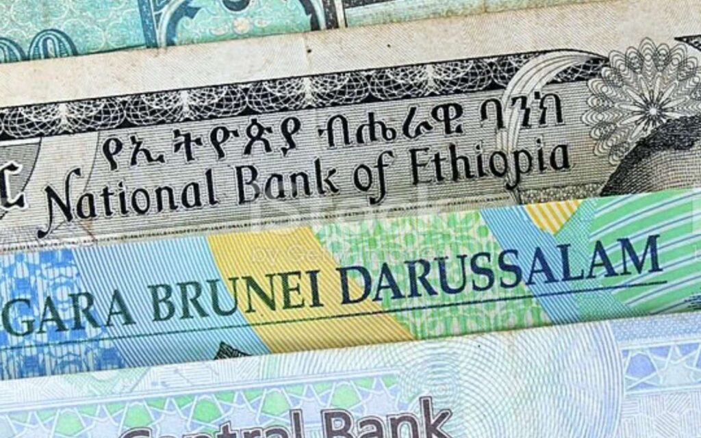 The mother of all distortions: Ethiopia’s foreign currency peg Money ethio
