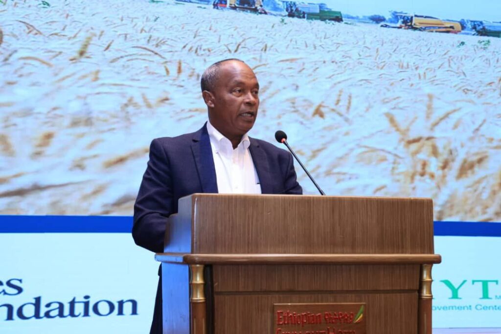 Ethiopia’s Wheat Revolution Unveiled in New Film Ethiopia's Wheat Revolution Unveiled in New Film