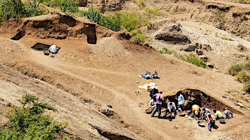 Ancient Discoveries: 2.9 Million-Year-Old Tools and Fossils Redefine Human Technology Origins