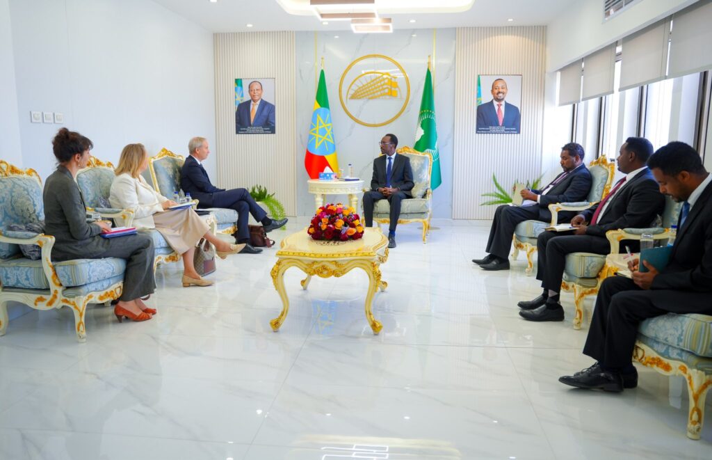 EU and Member States: Steadfast Allies of Ethiopia, Says FM Gedion