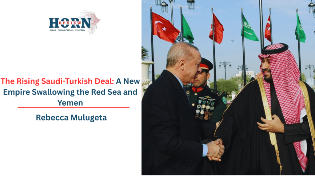 A Rising Power Over the Red Sea and Yemen