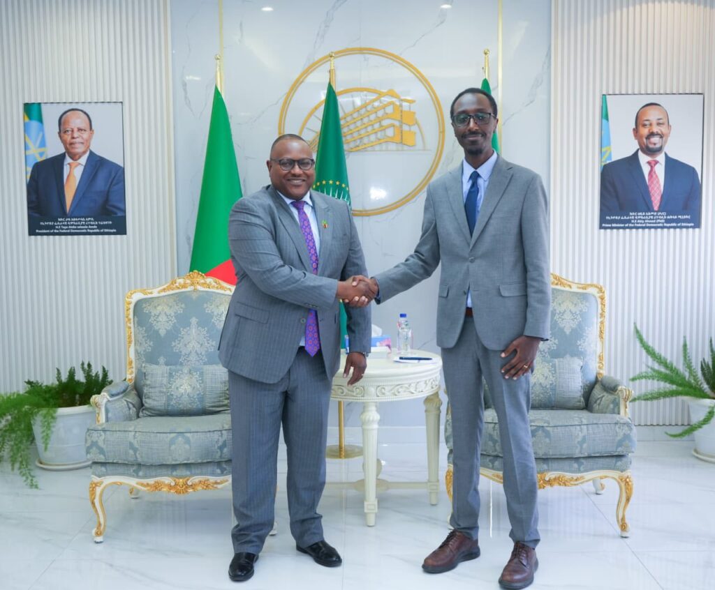 Ethiopian and Zambian Foreign Ministers Engage in Dialogue