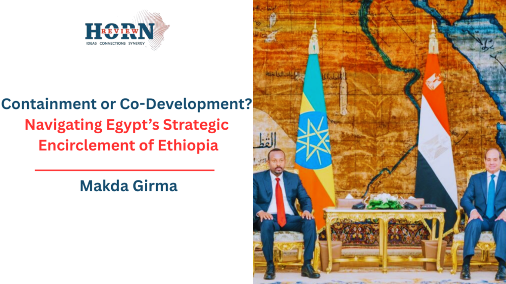 Strategic Choices: Egypt’s Approach to Ethiopia's Challenges