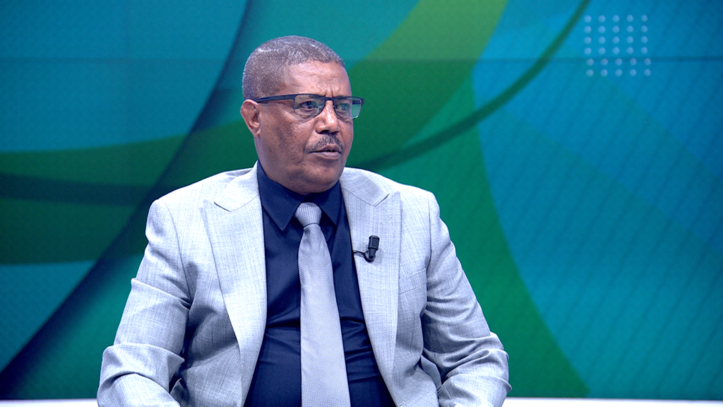 Tigray Leader Warns of a Dangerous Spillover Into Northern Ethiopia