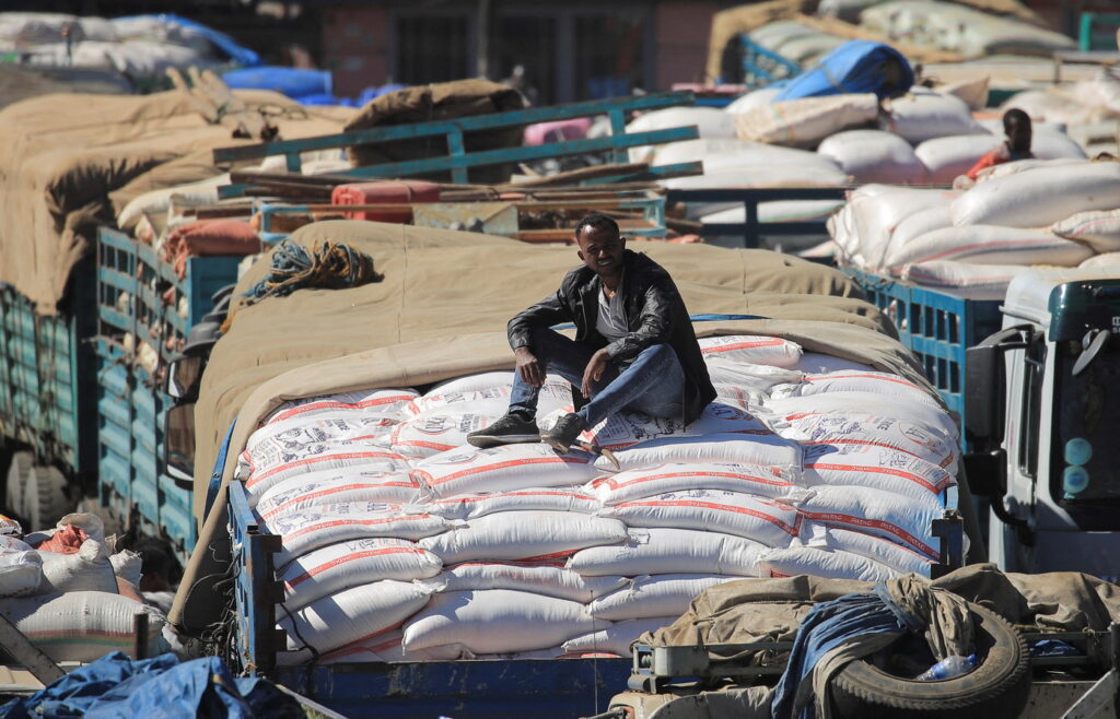 EU’s 1.89 Billion Birr Lifeline Revives Small Businesses in War‑Hit Northern Ethiopia