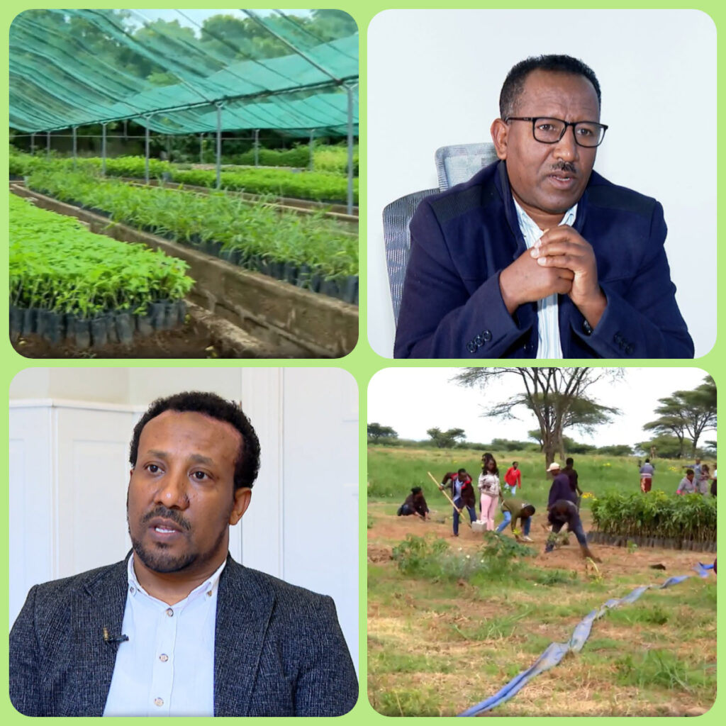 Ethiopia’s Green Legacy Boosts Global Standing and Productivity, Leaders Say
