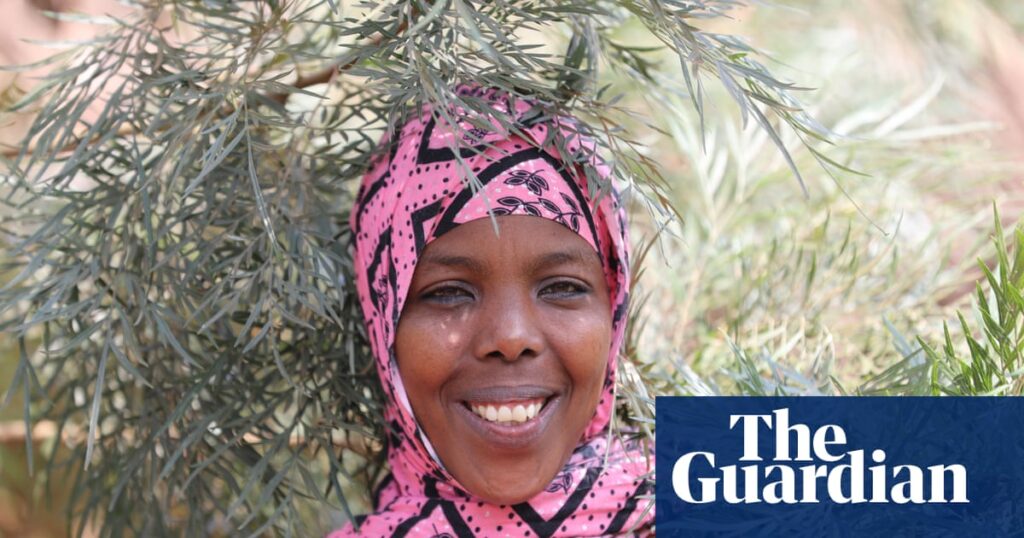 Ethiopia’s Green Revolution: Mobilizing a Nation to Plant 50 Billion Trees by 2030