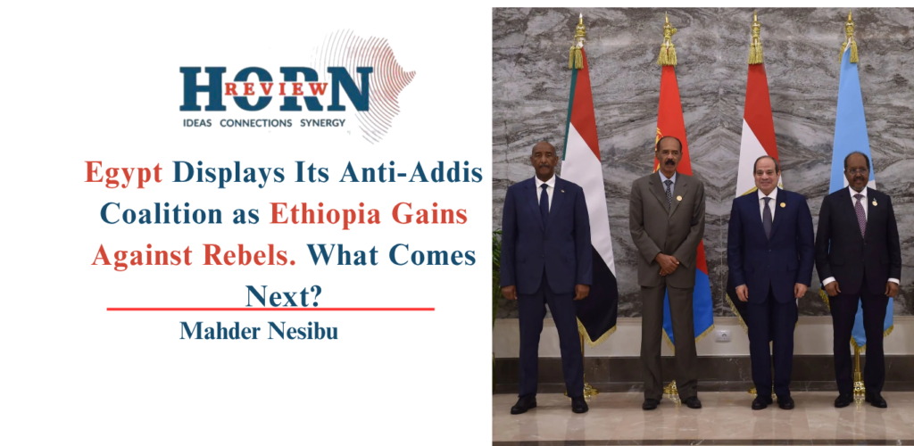 Egypt Unveils Anti-Addis Coalition as Ethiopia Gains Ground on Rebels – What's Next?